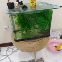آکواریوم شرکتی