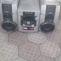 ضبط