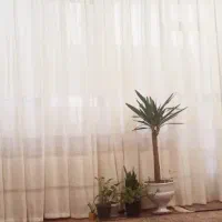 پرده پیله ای