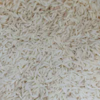 فروش عمده برنج هاشمی درجه یک