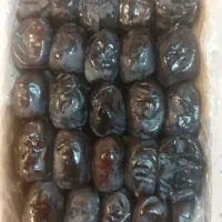 خریدوفروش انواع خرما