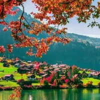 پیاده روی و طبیعت گردی