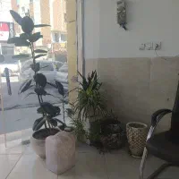 مشارکت درساخت ویلاشهر(مولوی)