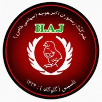 ظرفشور و پیک موتوری