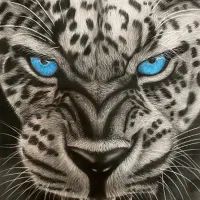 آموزش‌ریاضی‌زبان‌خوشنویسی‌سیاه‌قلم‌(با۸۰درصد‌تخفیف