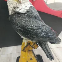 مجسمه شاهین
