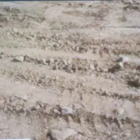 فروش زمین