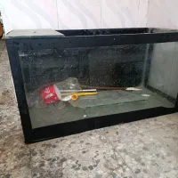 آکواریوم