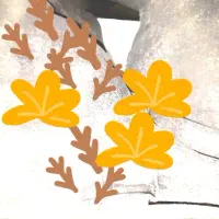 شلوار جین زنانه عکس دوم