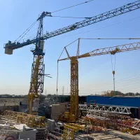 تاورکرین گلچهره