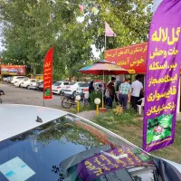 تورگردشگری انزلی