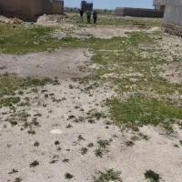 زمین مسکونی دمق