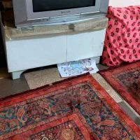 تلویزیون ۲۱ اینچ پاناسونیک