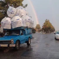 جشنواره تانکر ۳لایه زد جلبک تا پایان اردیبهشت