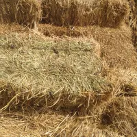 یونجه|حراج|سراب, |دیوار