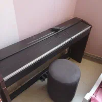 پیانو کابین شده کاسیو px700