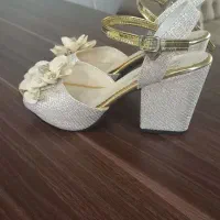 کفش مجلسی