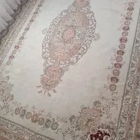 فرش|فرش|تربت جام, پارک جنگلی|دیوار