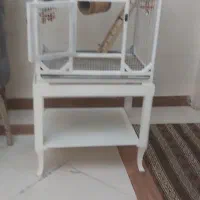 قفسه پرنده