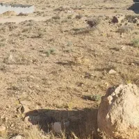 زمین باغشهری صدرا اهلبیت