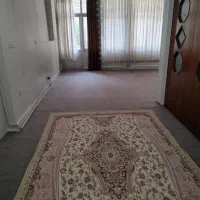 موکت طوسی