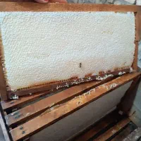 عسل طبیعی سبلان