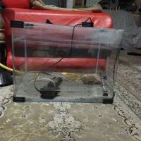 اکواریوم