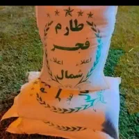 برنج طارم فجر شمال با تضمین کیفیت و مرجوعی