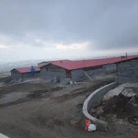 کار در مرغداری