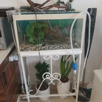 فروش آکواریوم با تمام لوازم یکجا
