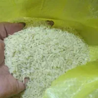 برنج محلی چمپا گونی2100