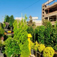 گل‌وگیاه و گلخانه آقای گل