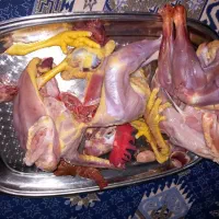 مرغ و خروس رسمی و طبیعی