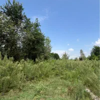 قطعه-زمین-735متری