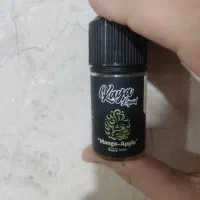 سالت جویس