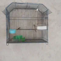 قفس پرنده
