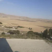 جو محلی دارم