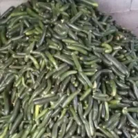 خیار سبز قلمی درجه یک