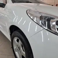 قلم گیری و لیسه گیری