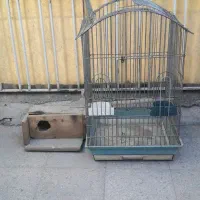 قفسه