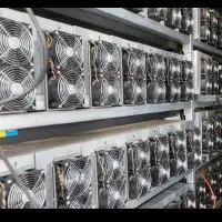 miner ماینر با درآمد بالا (دلاری)