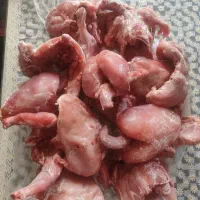 مرغ تلفاتی مخصوص حیوانات خانگی و حمایتی