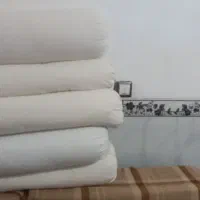 پالشت پر