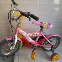 دوچرخه ۱۲ صورتی
