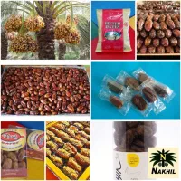 استخدام خانم با مدرک لیسانس صنایع غذایی