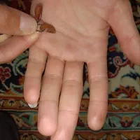 تسبی|صنایع دستی و سایر لوازم تزئینی|تایباد, |دیوار