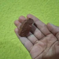 سنک برای نگین