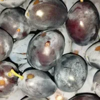 آلو|خوردنی و آشامیدنی|سلماس, |دیوار
