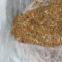 بذر یونجه درجه یک