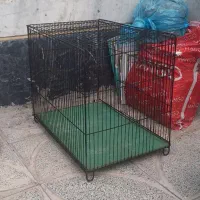 قفس